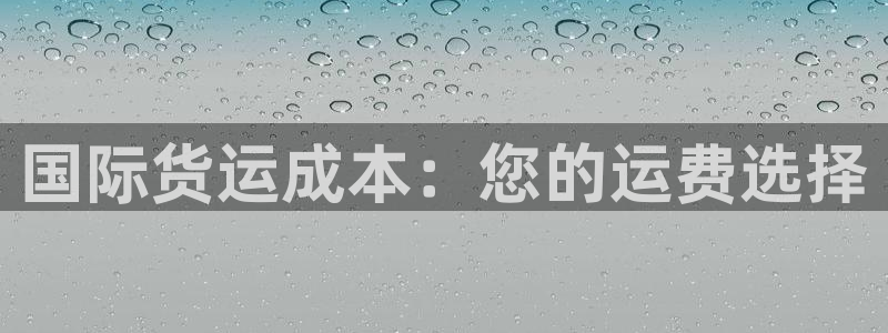 尊龙凯时官方网页：国际货运成本：您的运费选择